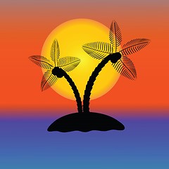 Image showing Palm Tree Silhouette 