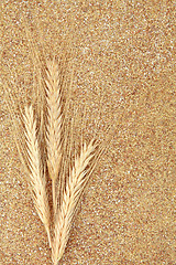 Image showing Wheat Germ