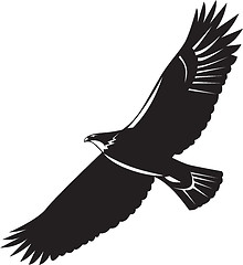 Image showing American Eagle Flying Woodcut