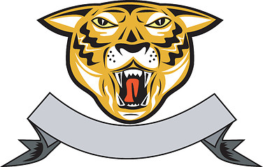 Image showing Tiger Head Growl Head Isolated