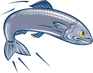 Image showing Angry Sardine Fish Jumping
