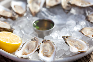 Image showing raw oysters