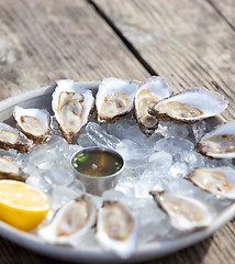 Image showing raw oysters