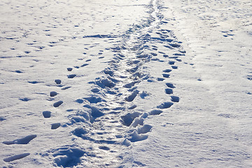 Image showing Narrow footpath on the snow