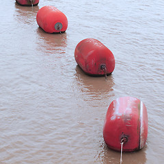 Image showing Life buoy in water