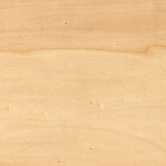 Image showing Wood