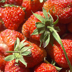 Image showing Strawberries