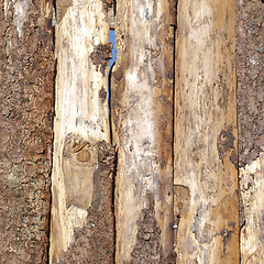 Image showing Wood picture