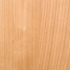 Image showing Wood picture