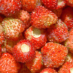 Image showing Strawberries