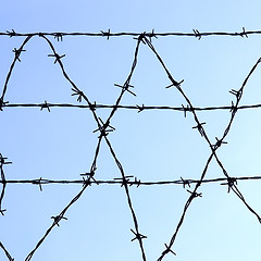 Image showing Barbed wire