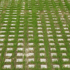 Image showing Car parking lot grass