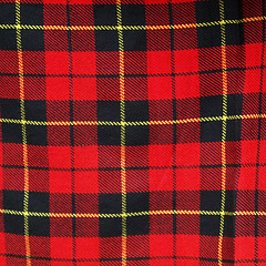 Image showing Tartan picture