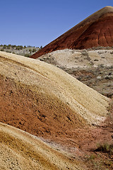 Image showing Painted Hills Oregon