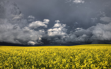 Image showing Prairie Storm Clouds