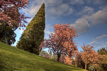 Image showing washington park portland