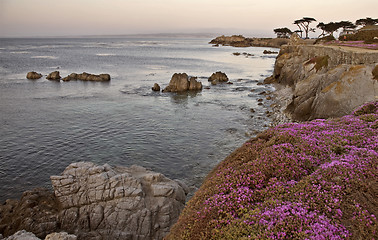 Image showing Monterey Coast California