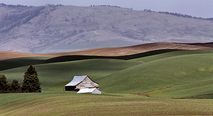 Image showing Palouse scenic Washington