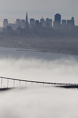 Image showing San Fransisco Skyline