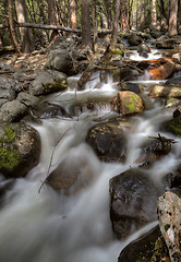 Image showing Yosemite National Park