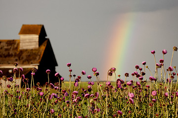 Image showing Prairie Storm Clouds