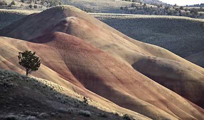 Image showing Painted Hills Oregon