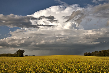 Image showing Prairie Storm Clouds