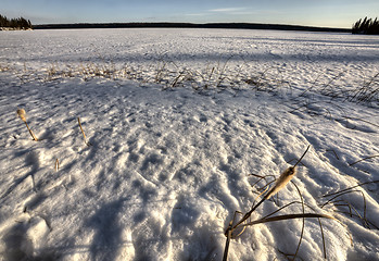 Image showing Northern Frozen Lake