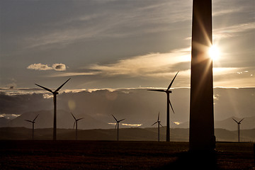 Image showing Wind Farm Canada