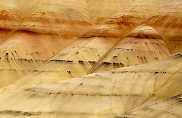 Image showing Painted Hills Oregon