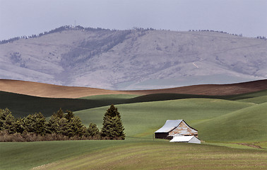 Image showing Palouse scenic Washington