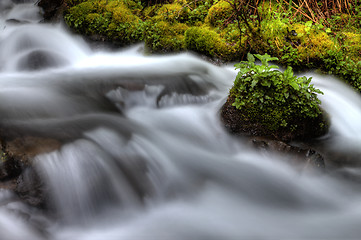 Image showing columbia river gorge Oregon