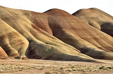 Image showing Painted Hills Oregon