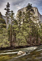 Image showing Yosemite National Park