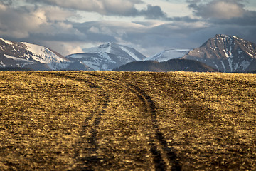 Image showing Wind Farm Canada