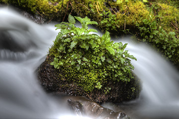 Image showing columbia river gorge Oregon