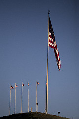 Image showing Ameriican Flags