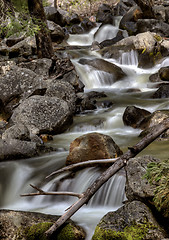 Image showing Yosemite National Park