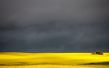 Image showing Prairie Storm Clouds