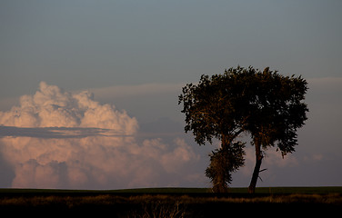 Image showing Prairie Storm Clouds