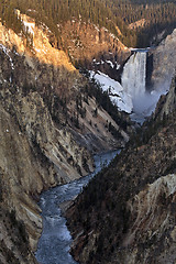 Image showing Yellowstone National Park