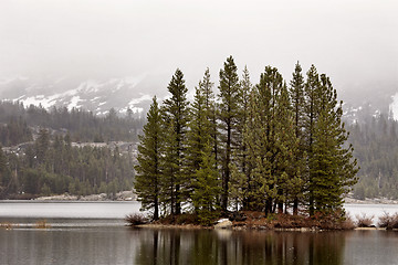 Image showing Yellowstone National Park