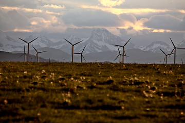 Image showing Wind Farm Canada