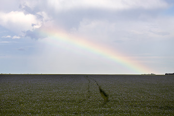 Image showing Prairie Storm Clouds