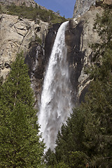 Image showing Yosemite National Park