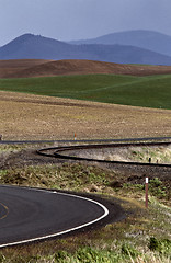 Image showing Palouse scenic Washington