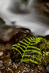 Image showing columbia river gorge Oregon