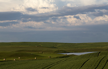 Image showing Prairie Storm Clouds