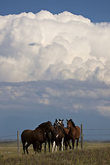 Image showing Prairie Storm Clouds