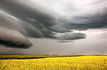 Image showing Prairie Storm Clouds